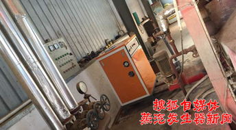 72kW电蒸汽发生器在豆制品饲料生产中的应用探析
