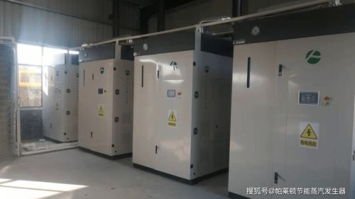 超低氮蒸汽发生器助力腐竹生产 生产效率成倍飙升